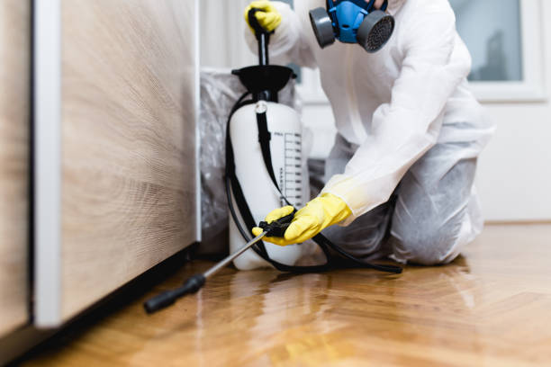 Best Cockroach Control Services  in Belgium, WI