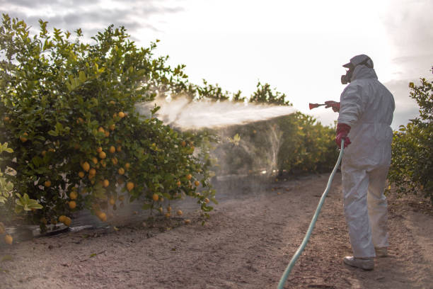 Best Best Pest Control Companies  in Belgium, WI