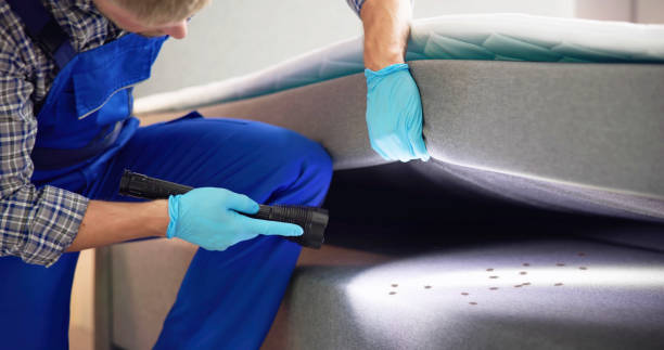 Best Pest Removal Services  in Belgium, WI