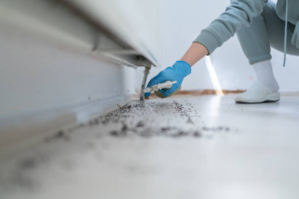 Best Pest Inspection Near Me  in Belgium, WI